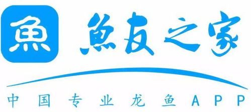 長(zhǎng)城專訪｜魚(yú)友之家 多形態(tài)展示背后的唯一服務(wù)宗旨——數(shù)字文化創(chuàng)意內(nèi)容應(yīng)用服務(wù)的創(chuàng)新實(shí)踐